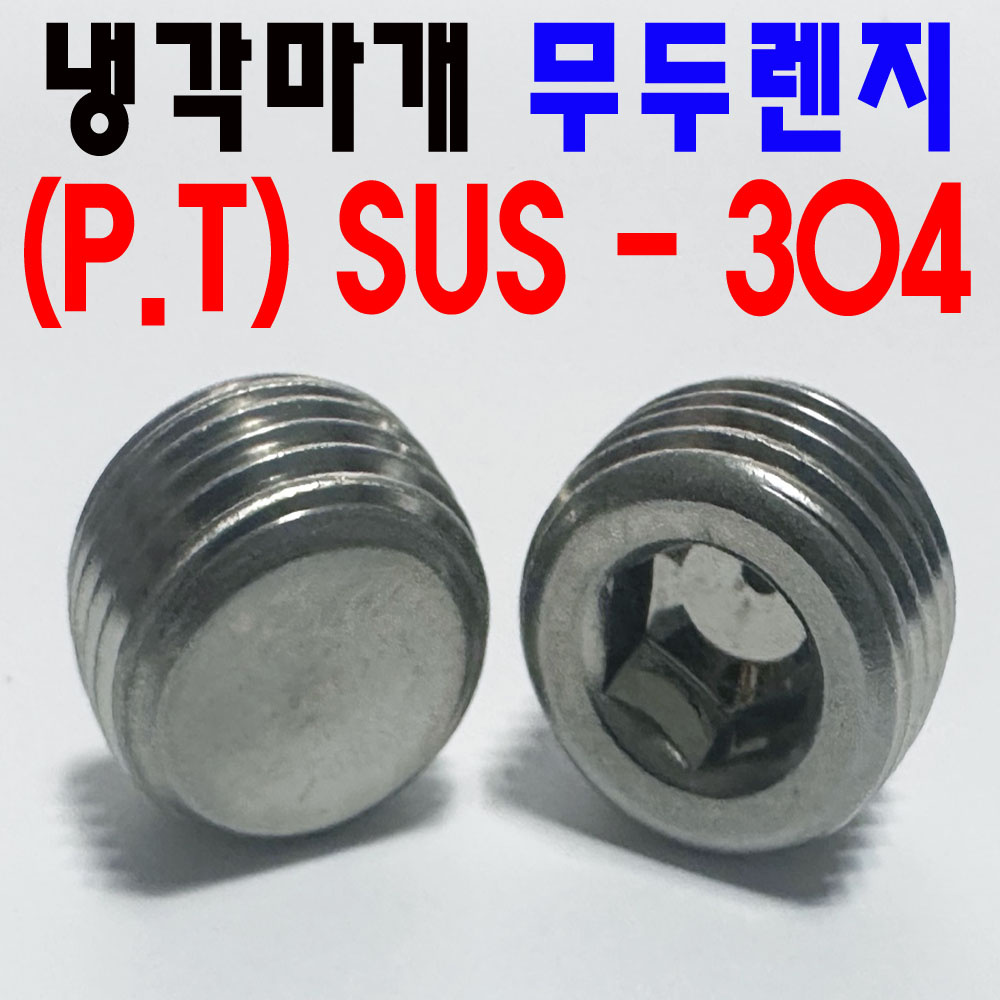 SUS P.T 렌지볼트