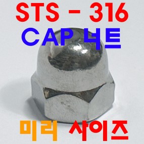 (스텐-316) CAP 너트